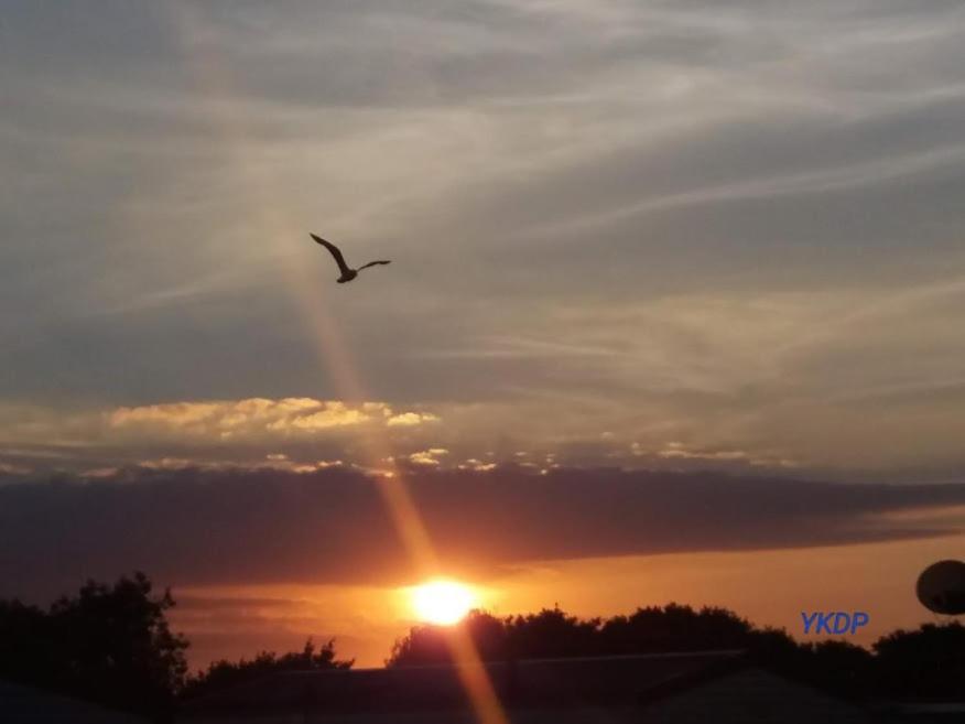 Holiday home 2013 Willerby Sunset Static Caravan Clacton-on-Sea
